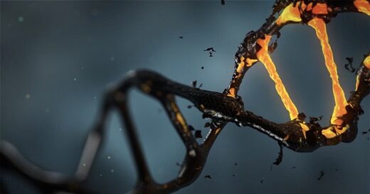 dna artist conception