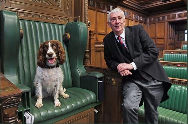 Click to enlarge Commons speaker britain lindsay hoyle