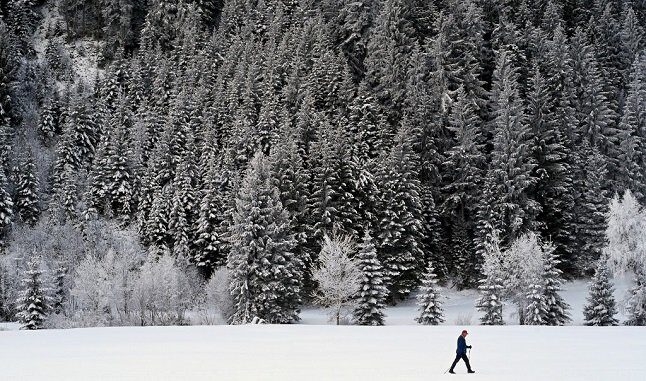 There's heavy snow in eight of Austria's nine regions today.