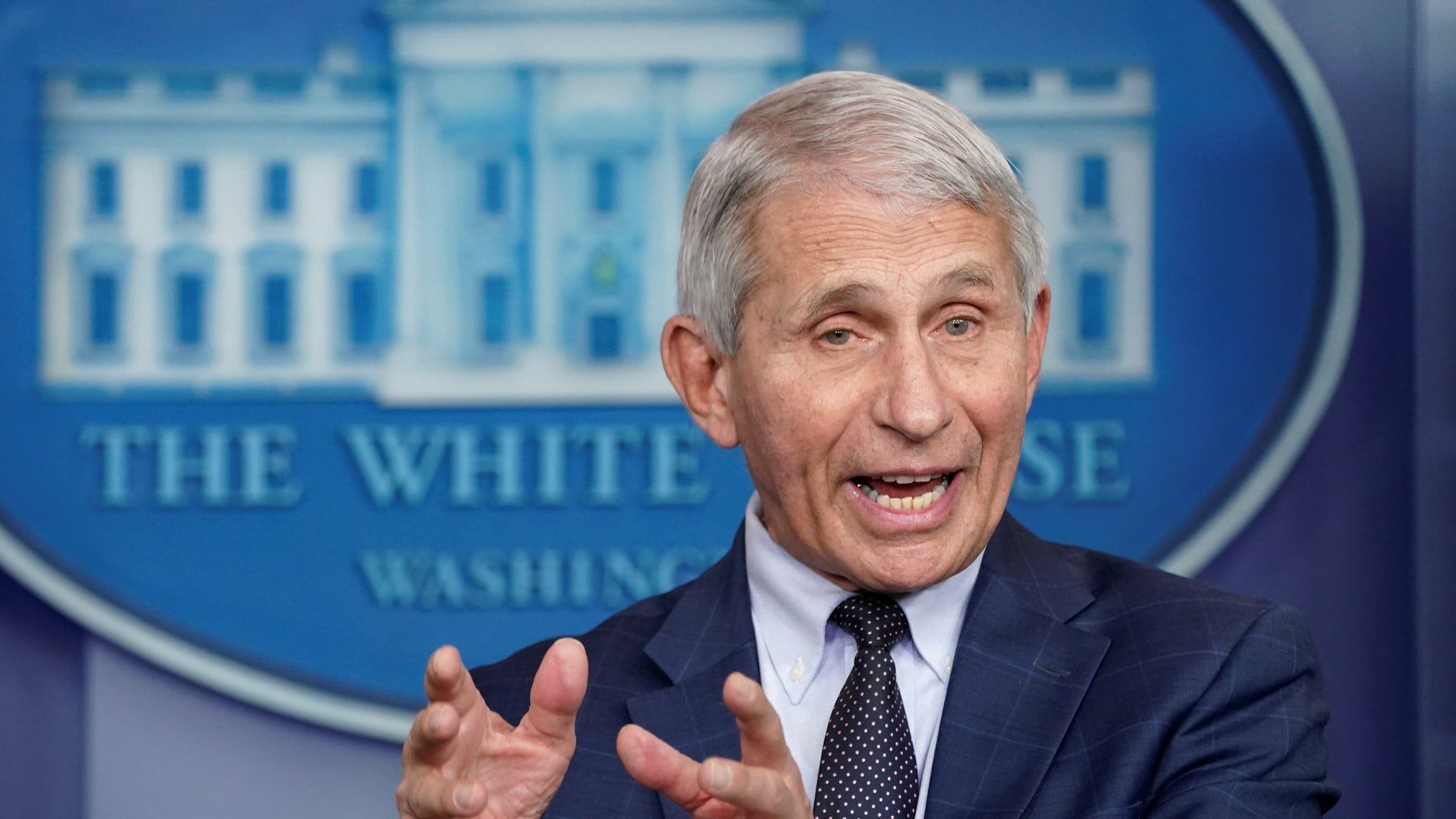 Click to enlarge Dr. Anthony Fauci