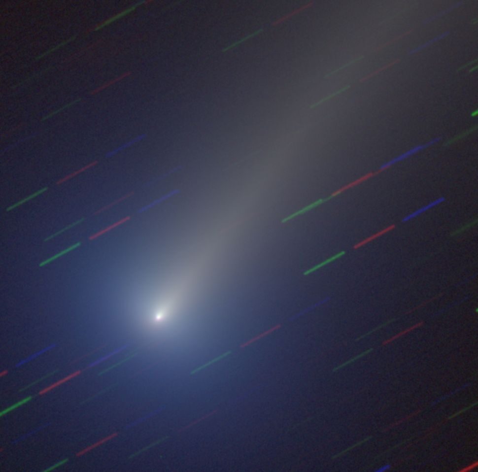 Click to enlarge Comet Leonard