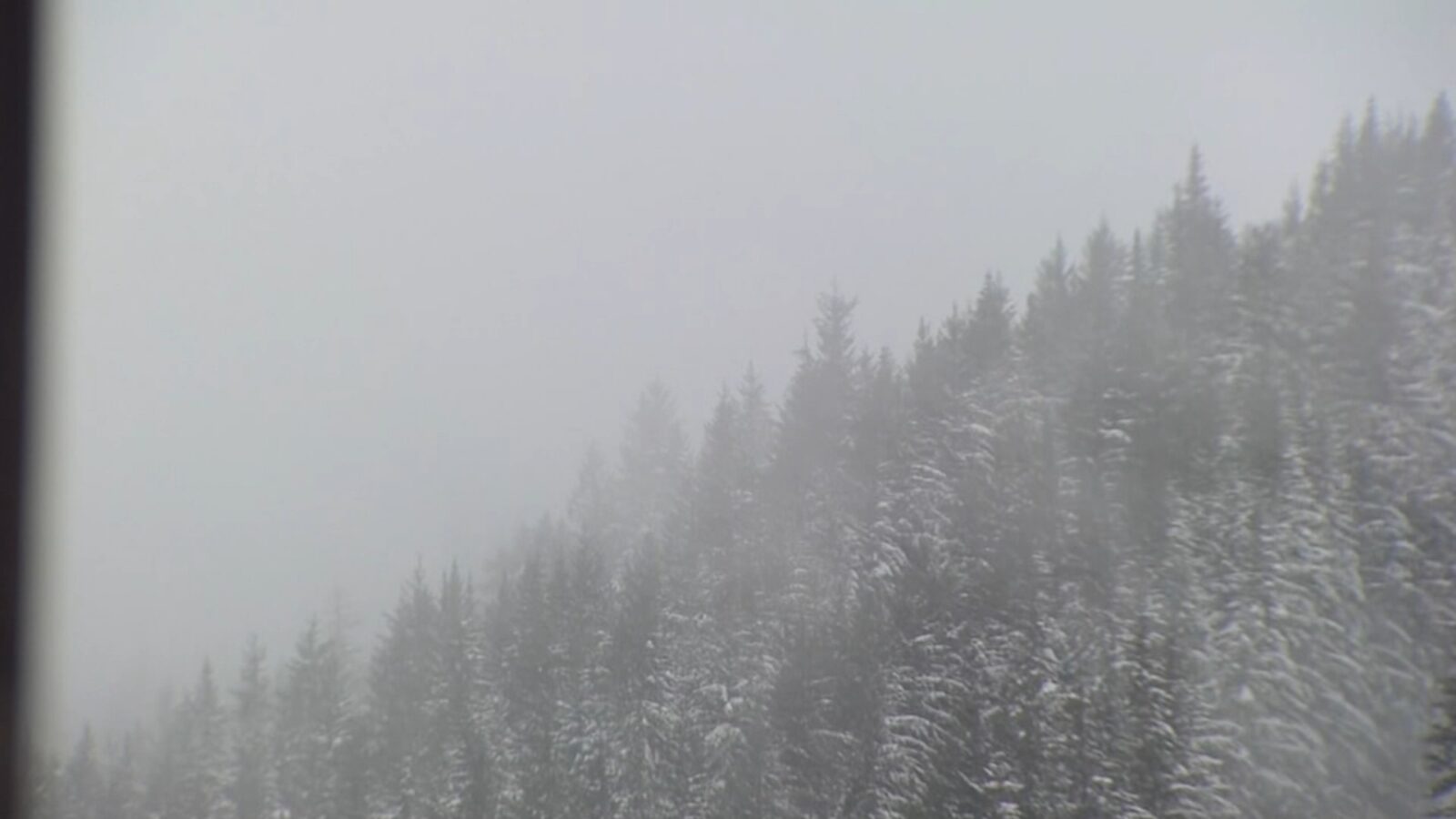 snow