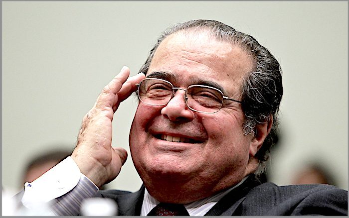 Click to enlarge Scalia