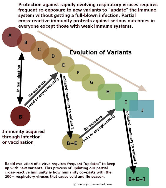 Click to enlarge half truth whole lie julius ruechel 7