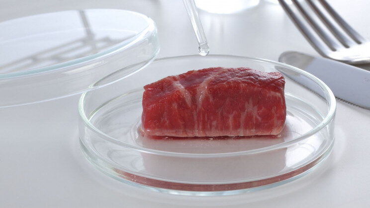 lab-grown meat