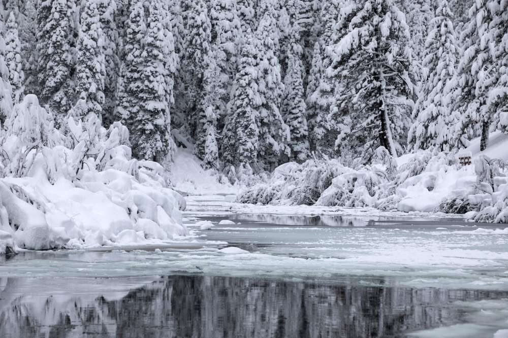 Click to enlarge The Truckee River is Lake Tahoe's only outlet, connecting the Lake Tahoe watershed to Pyramid Lake in Nevada. This week's storm was a boost for water in California and Nevada.