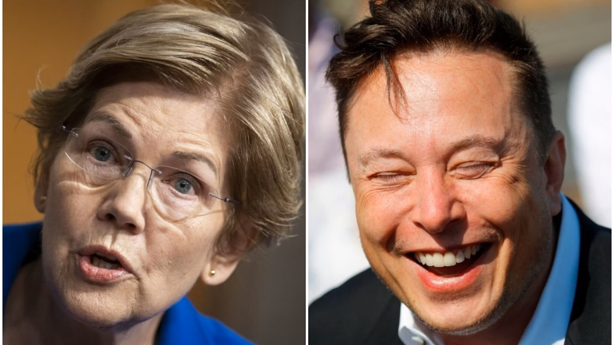 elizabeth warren elon musk