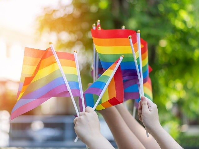pride rainbow flags