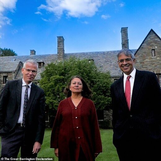Click to enlarge Bhattacharya Gupta Kulldorff barrington declaration covid