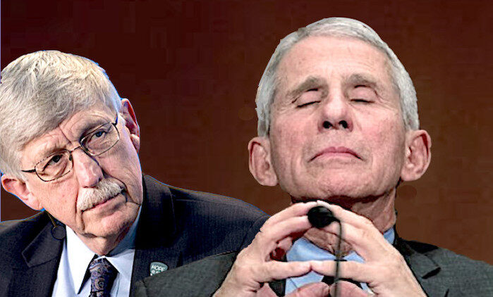 Click to enlarge collins-fauci