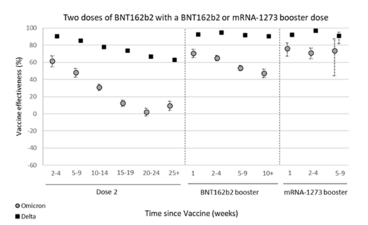 covid vaccine efficacy study
