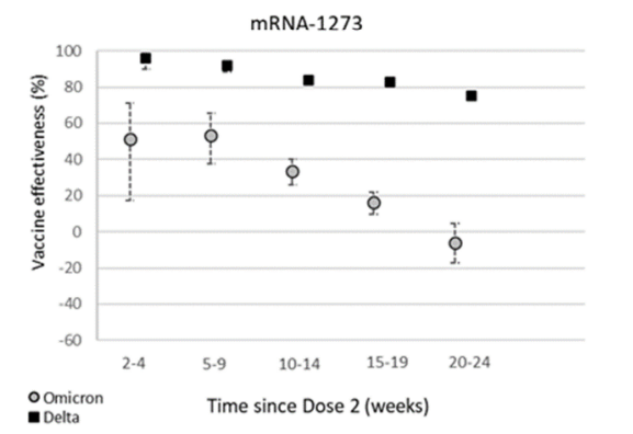 covid vaccine efficacy study