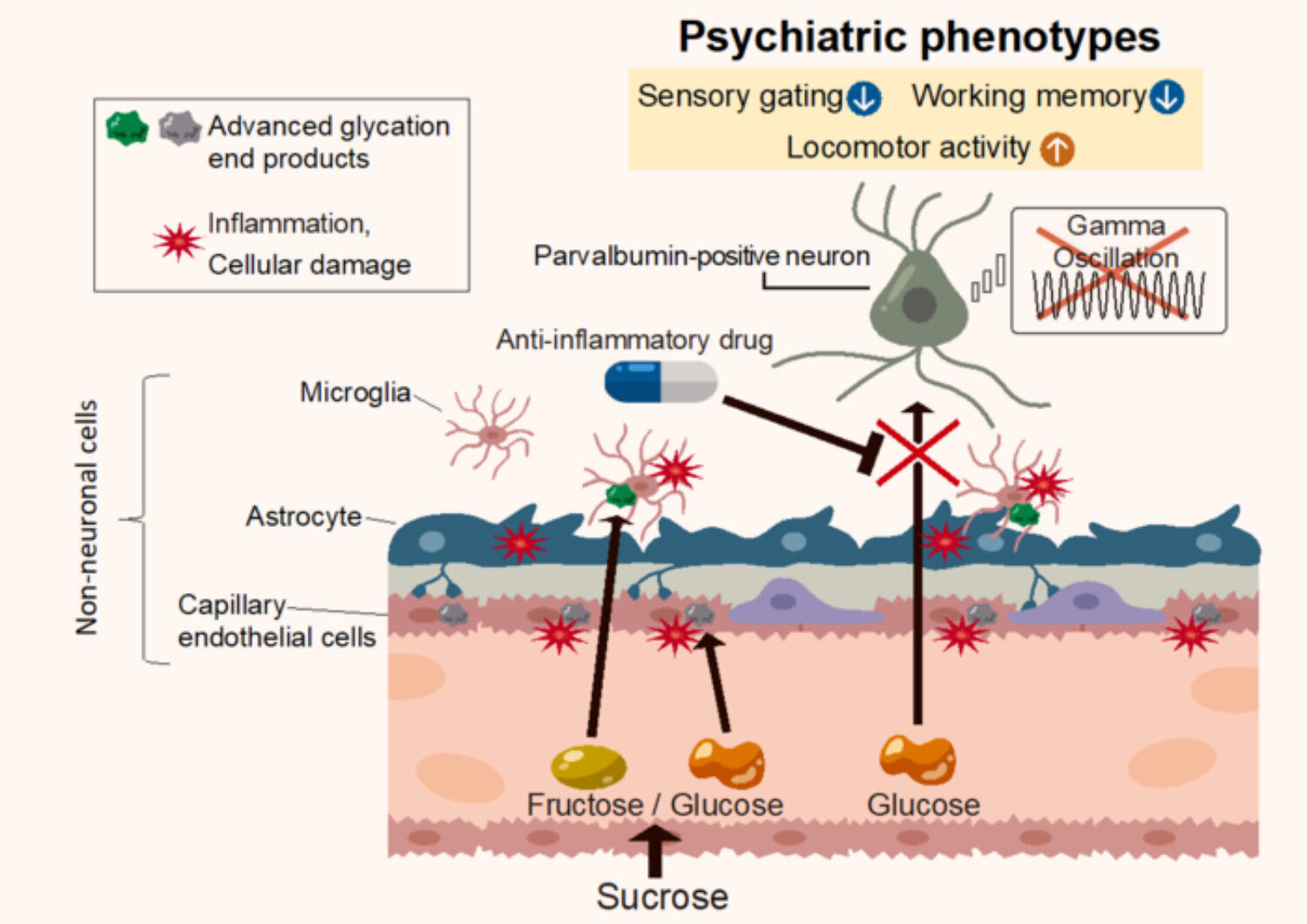 sucrose psychiatric