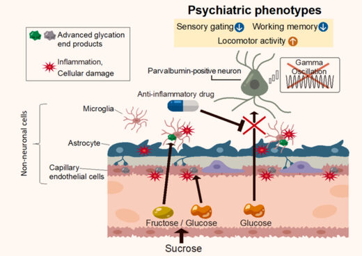 Click to enlarge sucrose psychiatric
