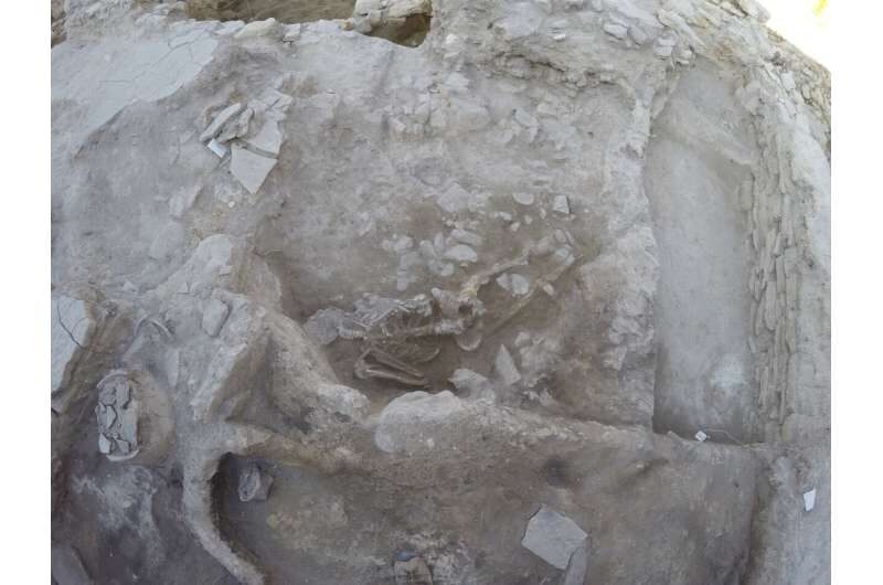 skeleton
