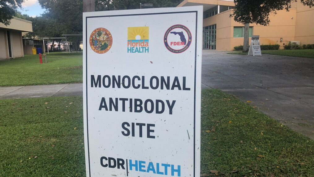 monoclonal antibody