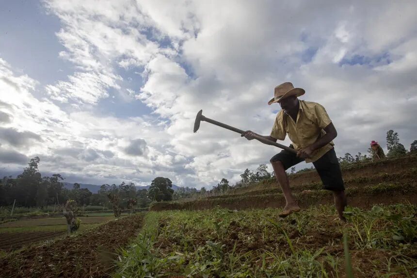 sri lanka farm