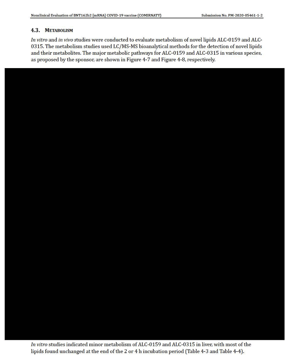 Click to enlarge Blackout Rpt5