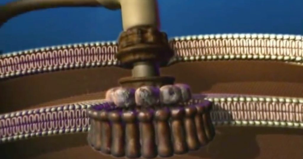 Bacterial flagellar motor