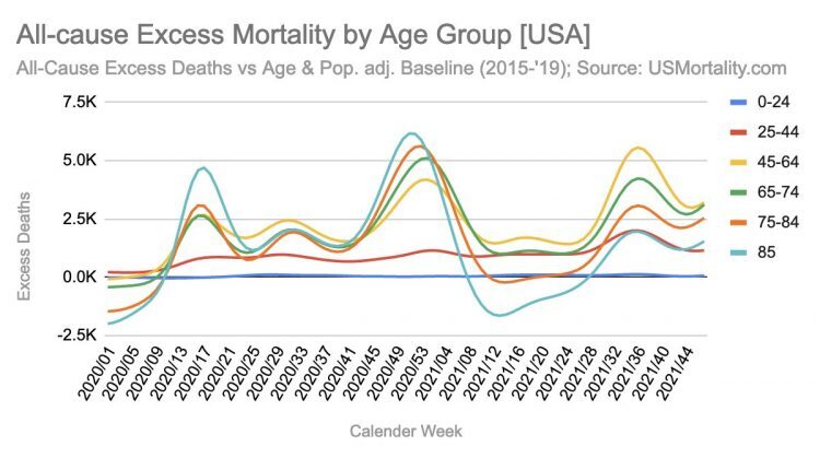 excess mortality all causes