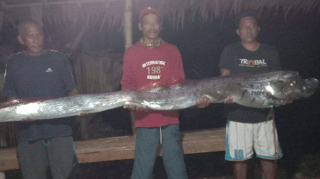 Two oarfish were washed ashore Thursday morning (January 6) in the coastal village of Macabug, Ormoc City.
