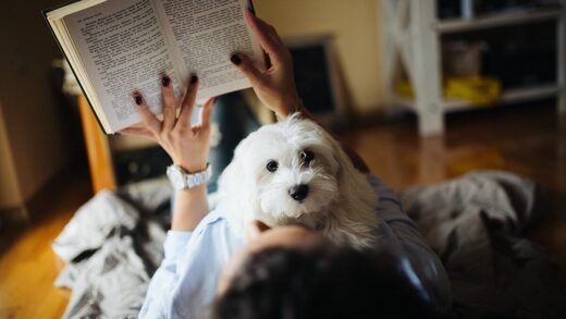 dog owner reading