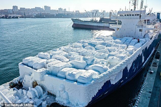 Frozen ship delivers ICE cars covered in ice.