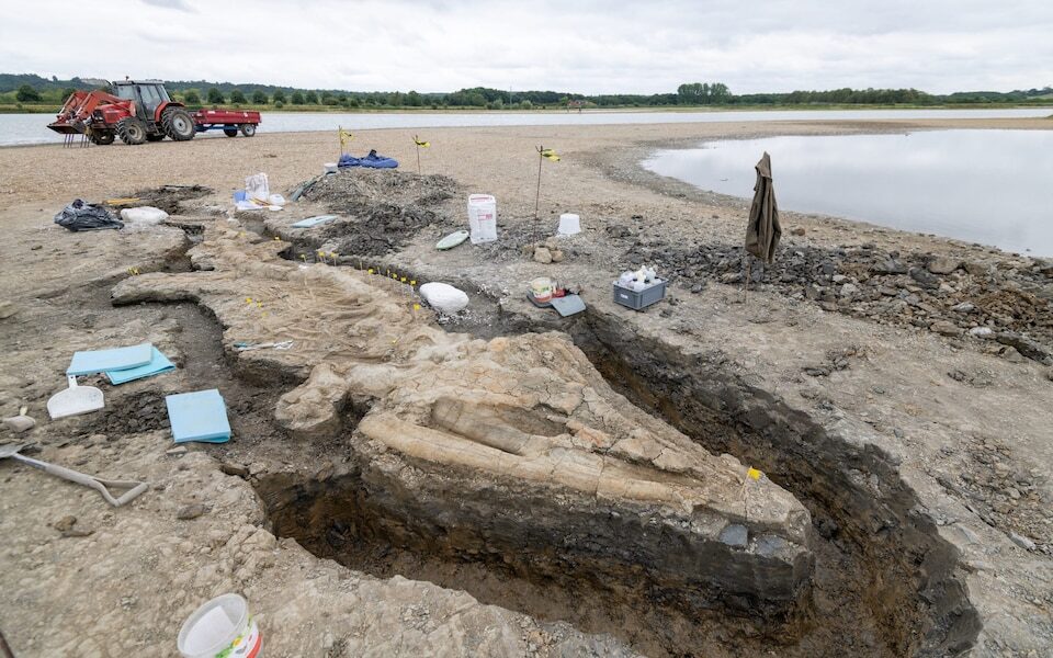 Ichthyosaur skeleton rutland england