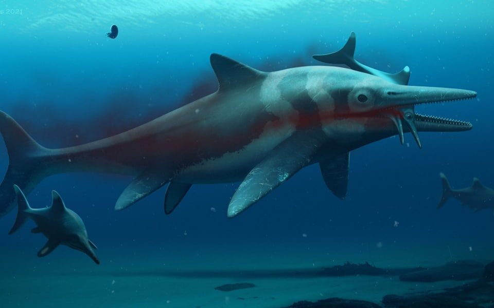 Click to enlarge ichthyosaur artist impression
