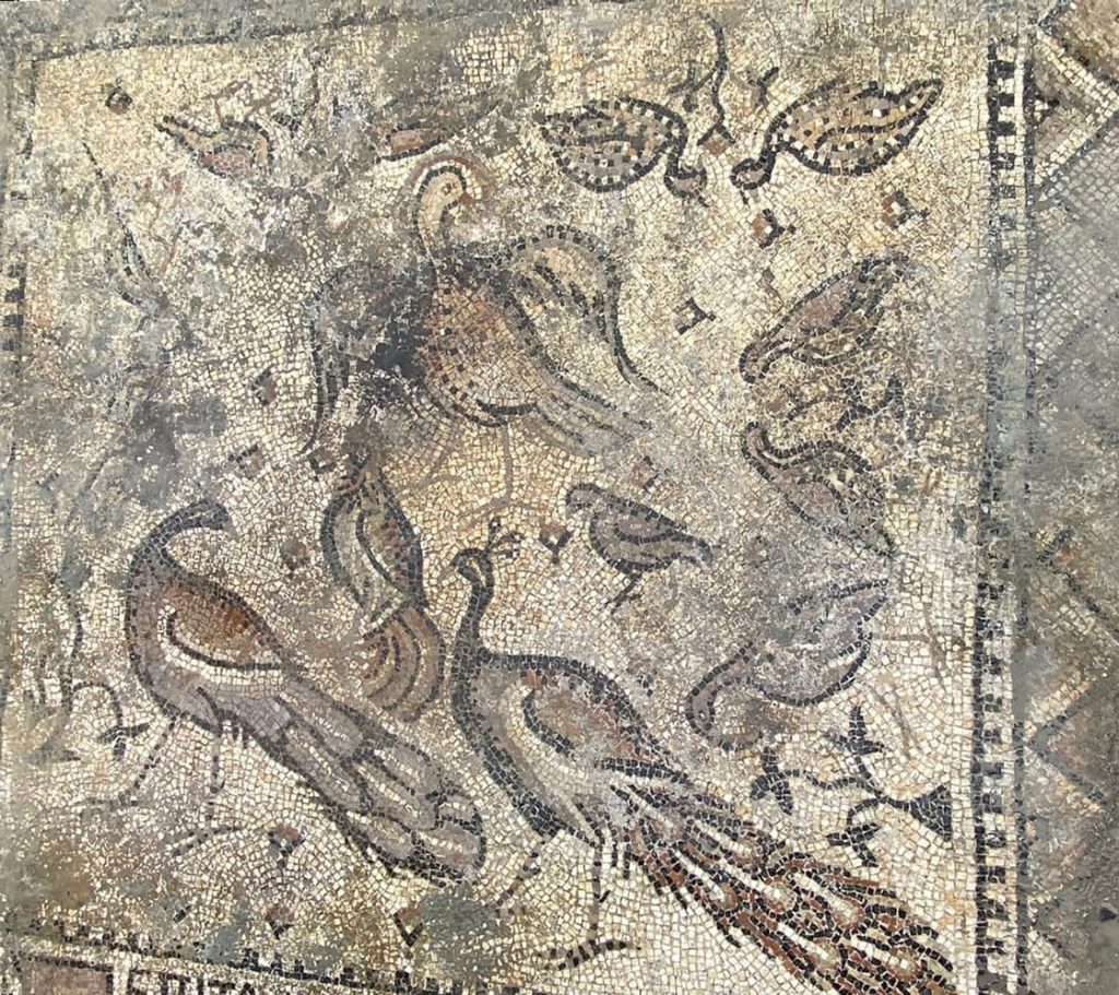 There are peacocks and an inscription on the mosaic.