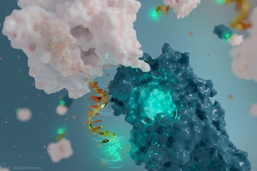 Chemists use DNA to build the world's tiniest antenna