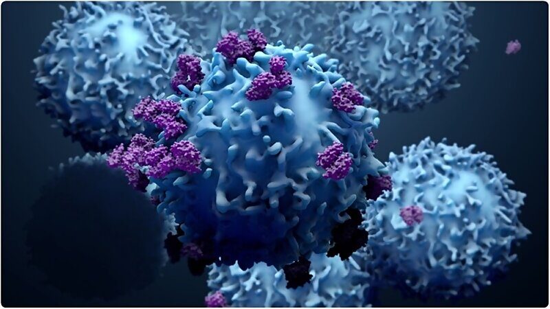 Click to enlarge t-cells immune system