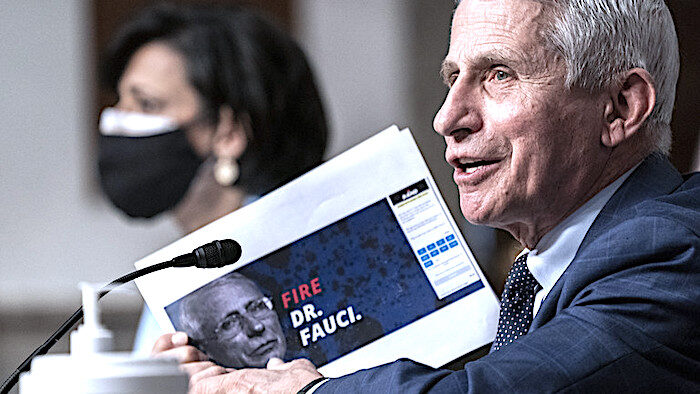 Click to enlarge Fauci and Walensky