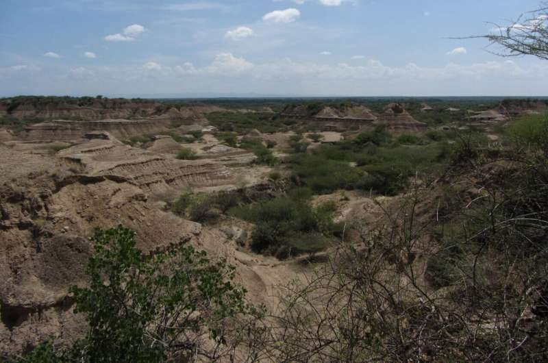 Click to enlarge Omo-Kibish geological formation