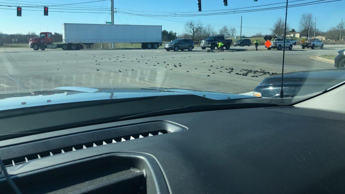 Quicksie 98.3 shared a Facebook post showing dozens of dead birds scattered across the roadway.
