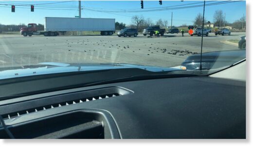 Quicksie 98.3 shared a Facebook post showing dozens of dead birds scattered across the roadway.