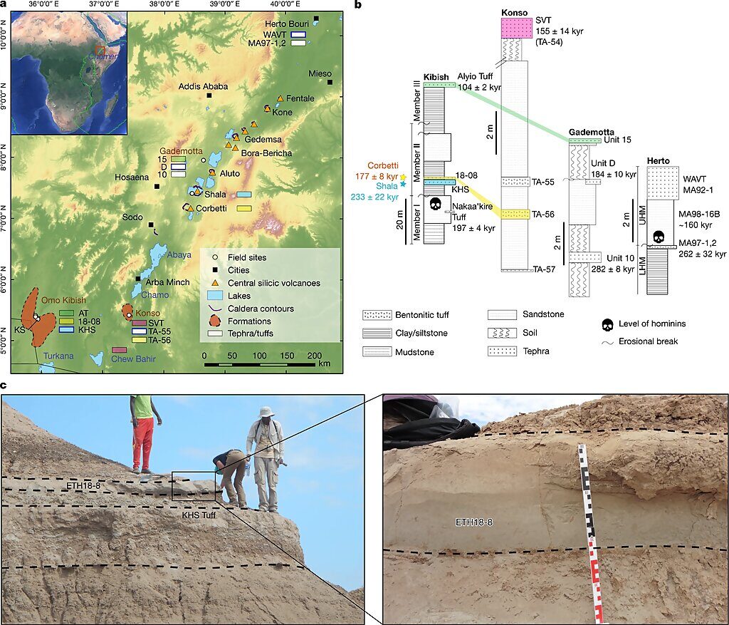 Click to enlarge oldest fossils human ethiopia
