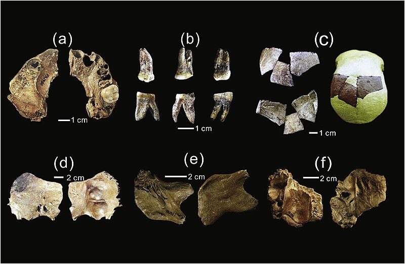Homo remains from Xujiayao, Shanxi, China