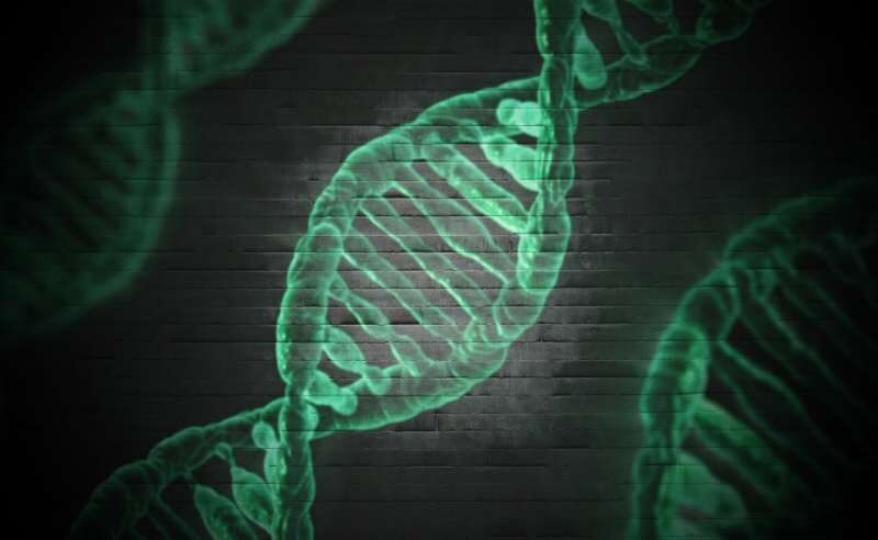 gene dna