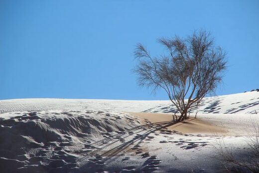 Sahara desert receives rare snowfall as temperatures plunge to -2C  (fourth time in last 7 years)