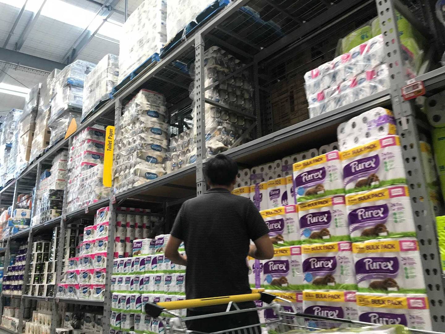 box stores new zealand supply chain