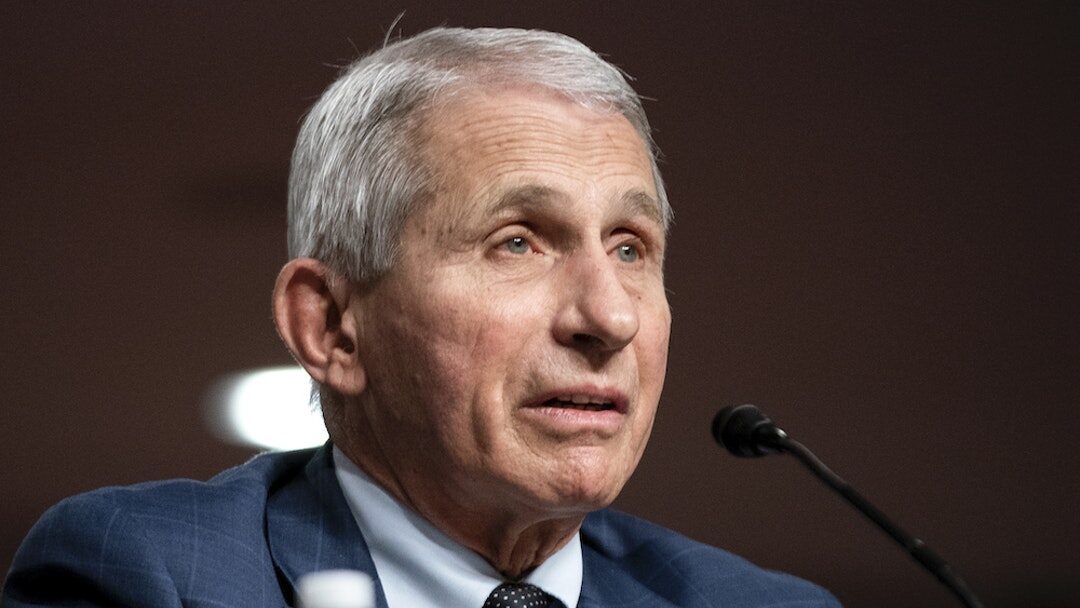 Click to enlarge fauci hearing