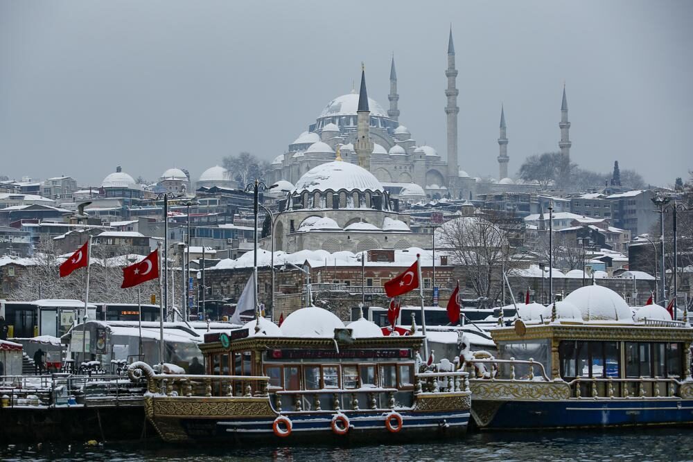 Click to enlarge Turkey in Snow