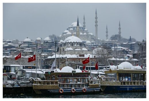 Click to enlarge Turkey in Snow
