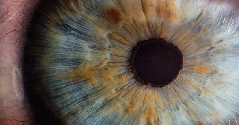 eye closeup