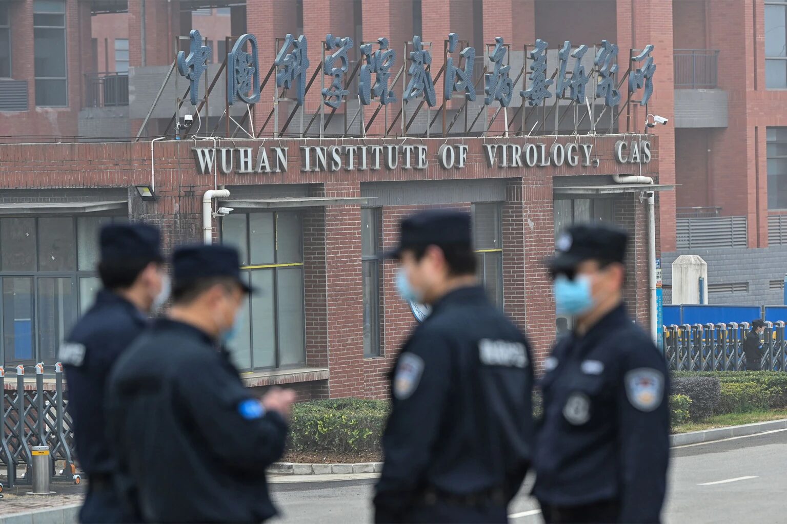 wuhan institute of virology