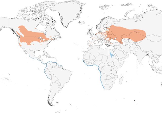 Click to enlarge mapped