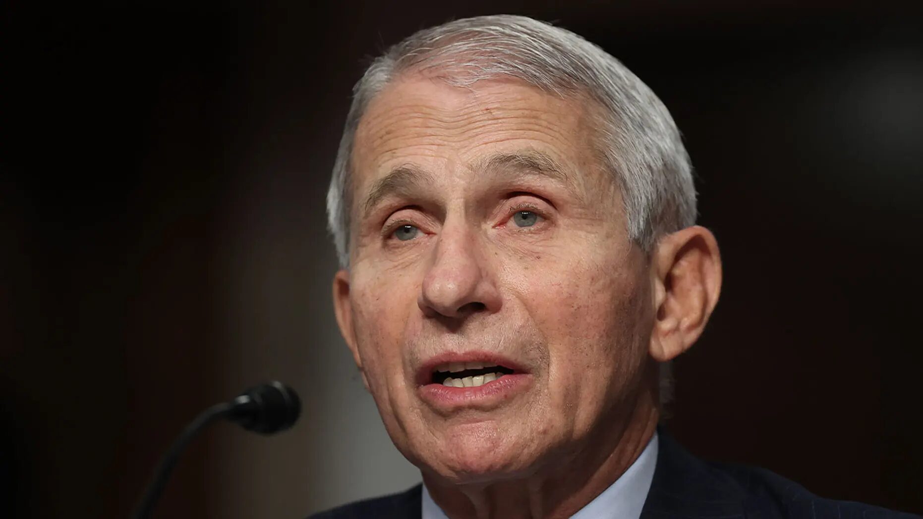 anthony fauci senate hearing