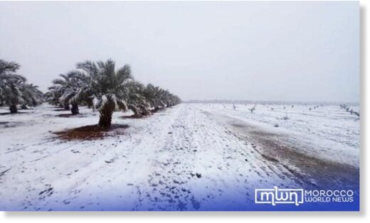 snow