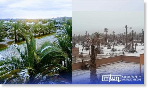 snow